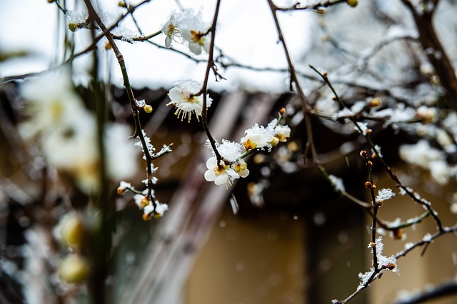 度与商业